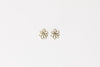 Homelee Earrings -White Daisy Homelee Earrings -White Daisy