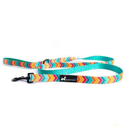 Healthy Dog - Lead - Chevron - medium