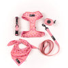 Healthy Dog -Lead- Pink Healthy Dog -Lead- Pink
