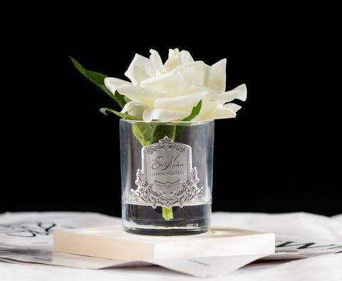 COTE NOIRE -  French Rose -Ivory