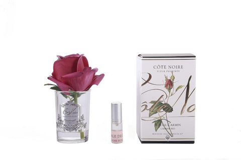 COTE NOIRE -  Perfumed Natural Touch Rose Bud - clear - Carmine Red