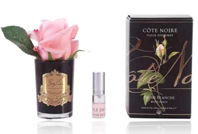 COTE NOIRE -  Perfumed Natural Touch Rose Bud -GMRB45