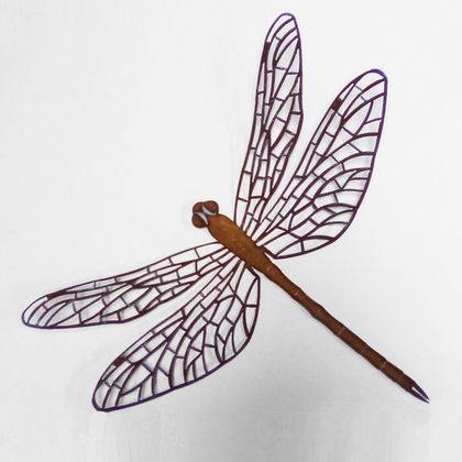 Ironweed - Dragonfly
