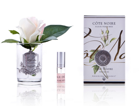 COTE NOIRE -  Perfumed Natural Touch Rose Bud - Clear - Pink Blush