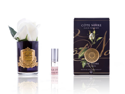COTE NOIRE -  Ivory white Rose Bud