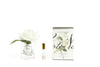 COTE NOIRE -  French Rose -Ivory